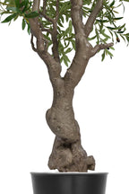 Artificial Plants