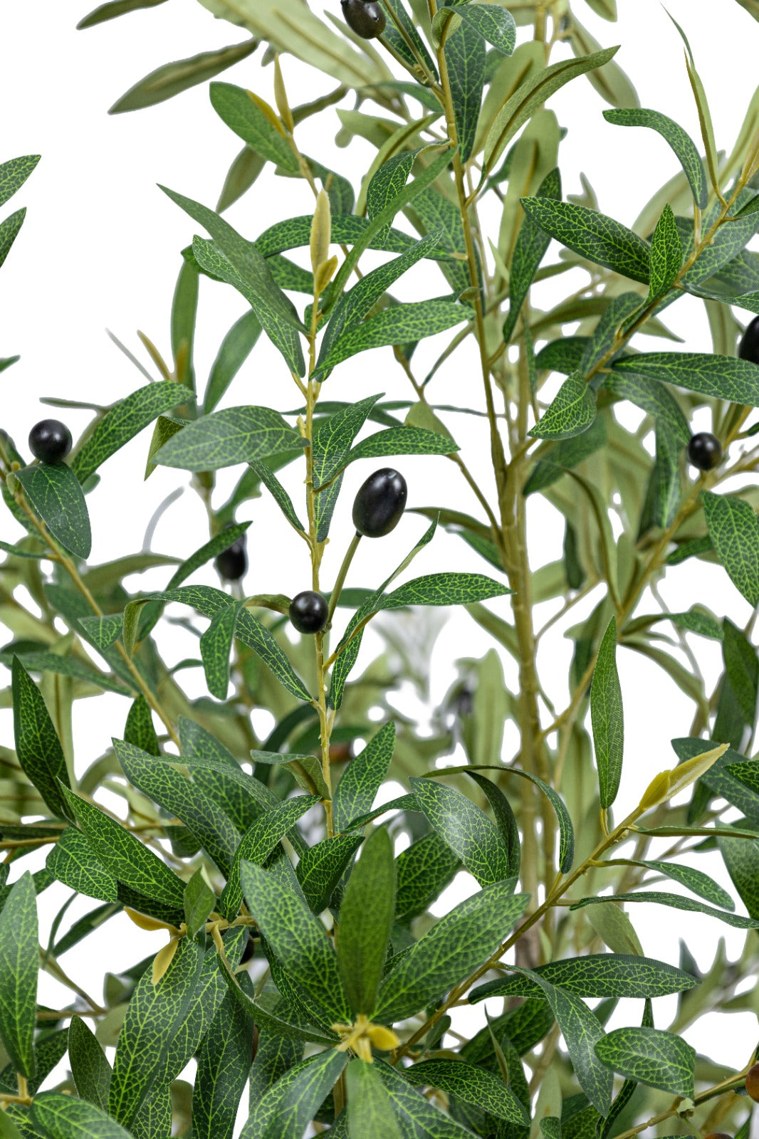 Artificial Plants