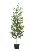 Artificial Plants