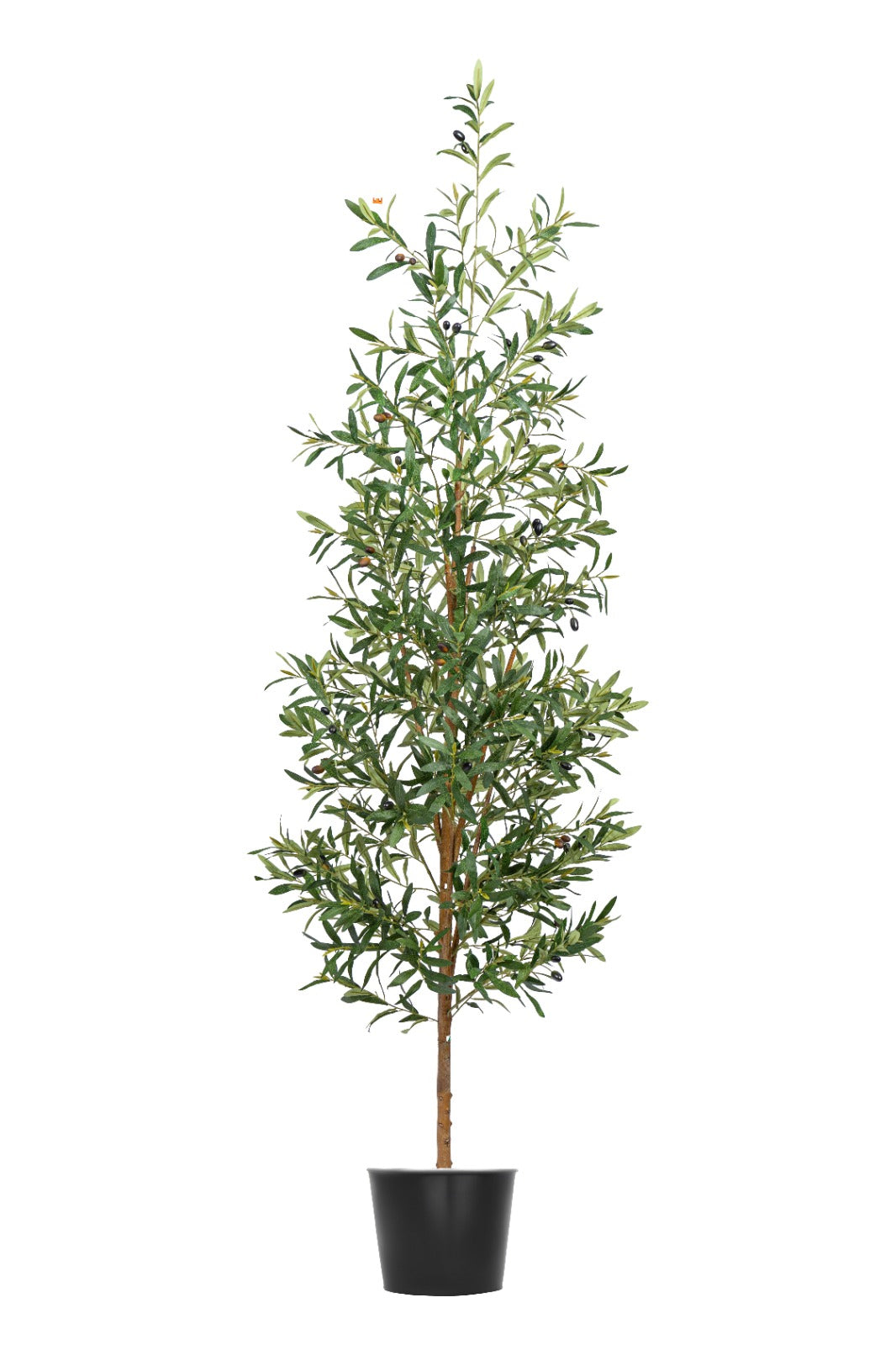 Artificial Plants