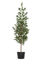 Artificial Plants