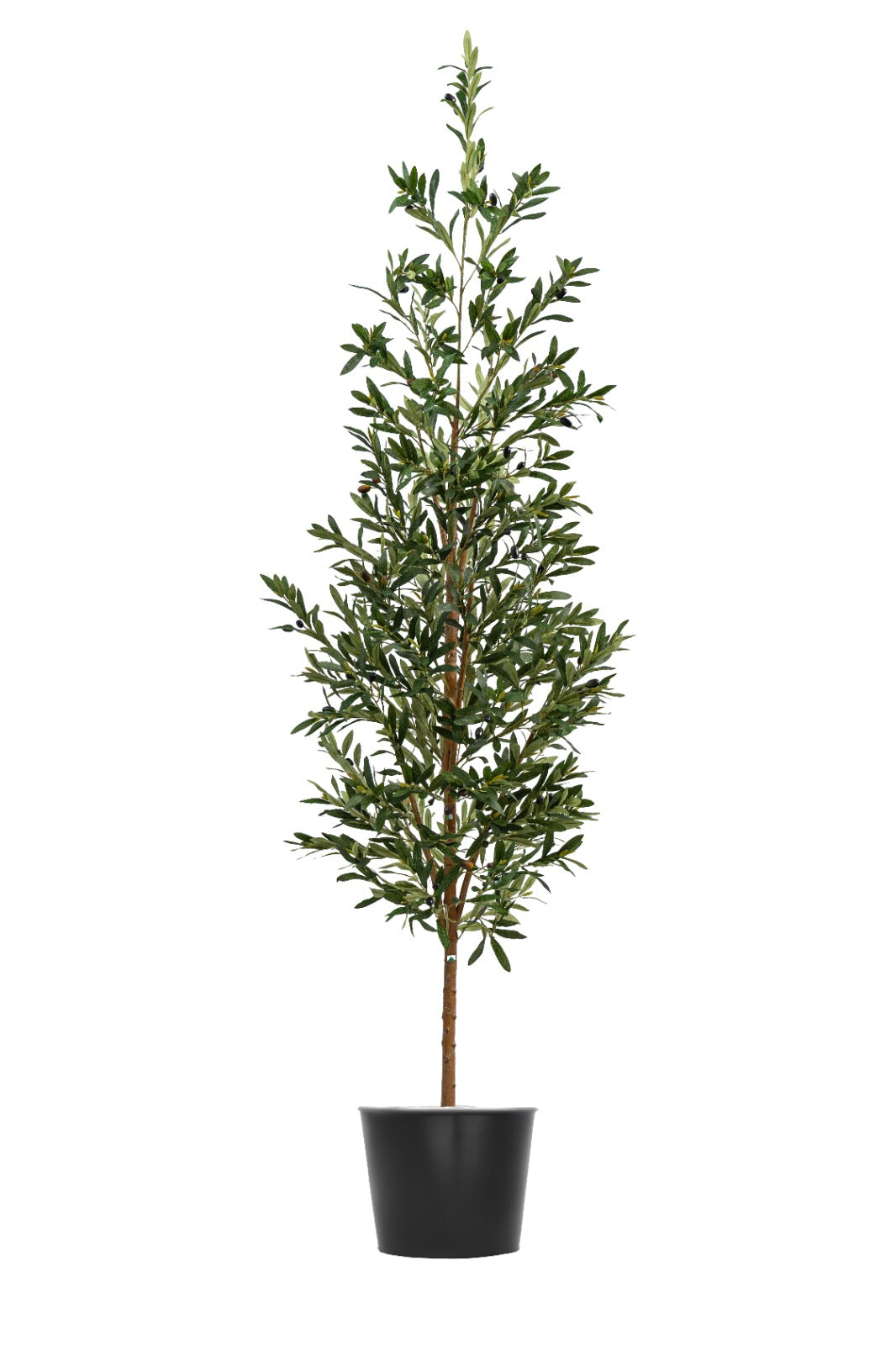 Artificial Plants