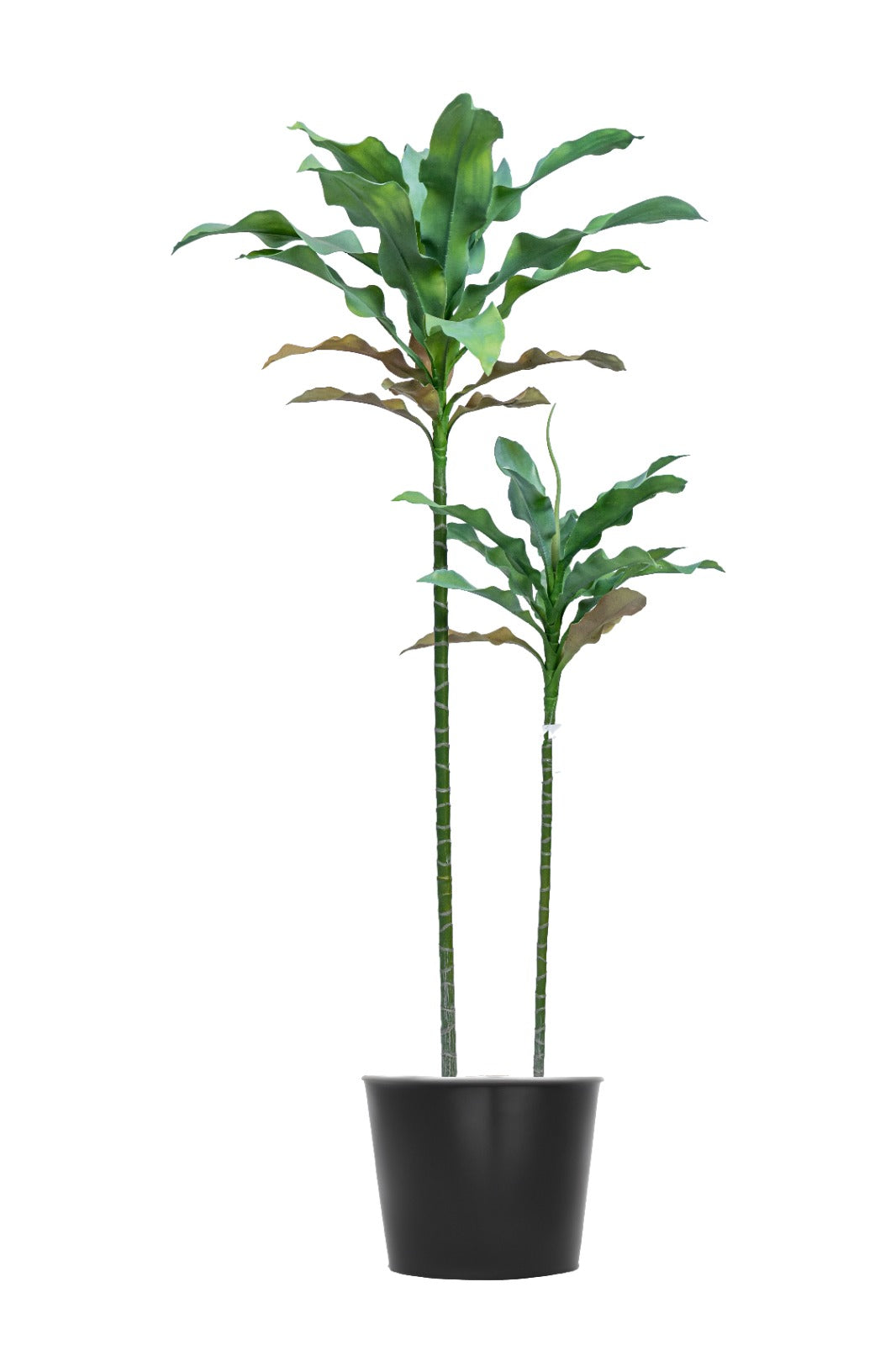 Artificial Plants