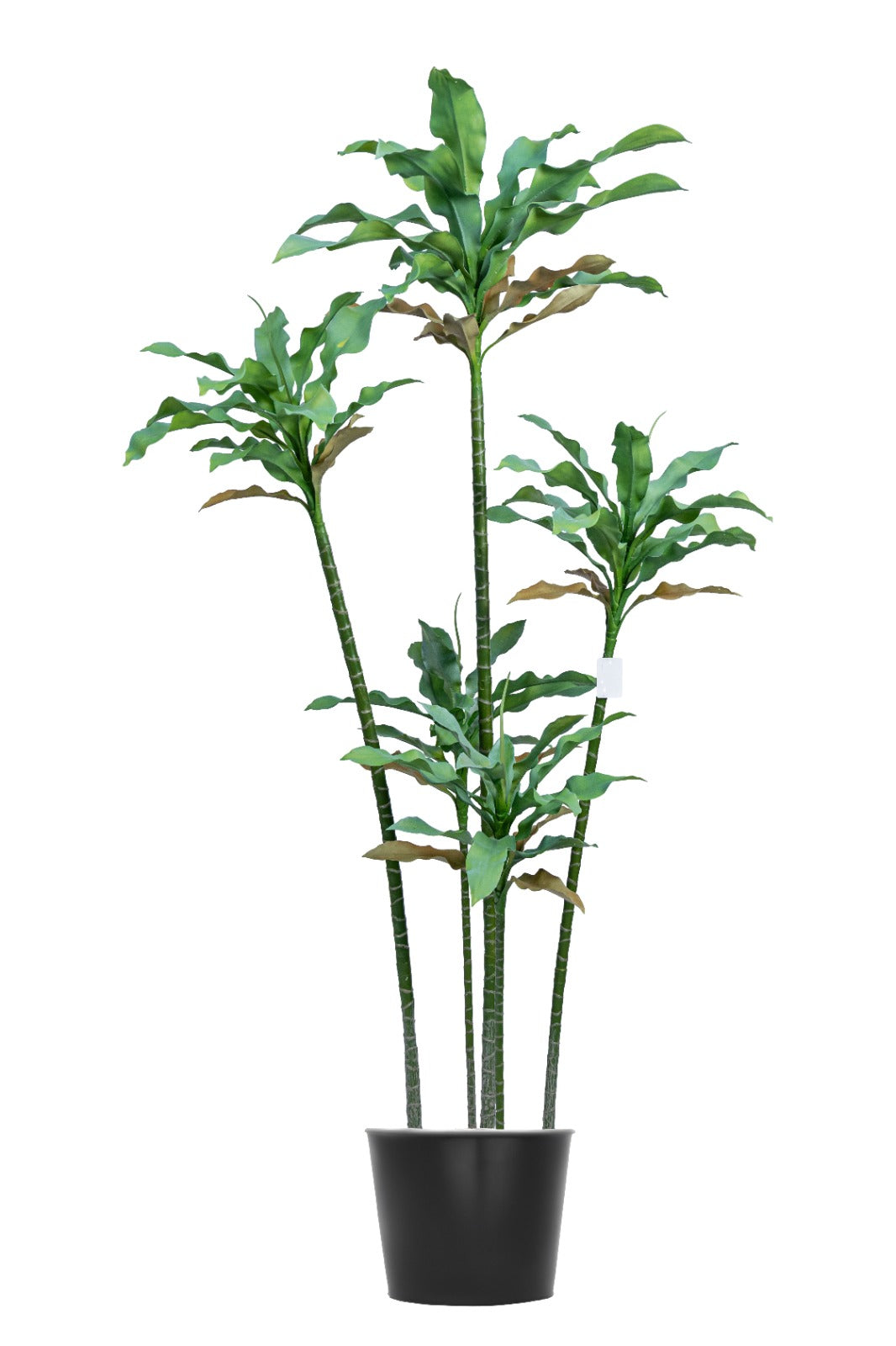 Artificial Plants
