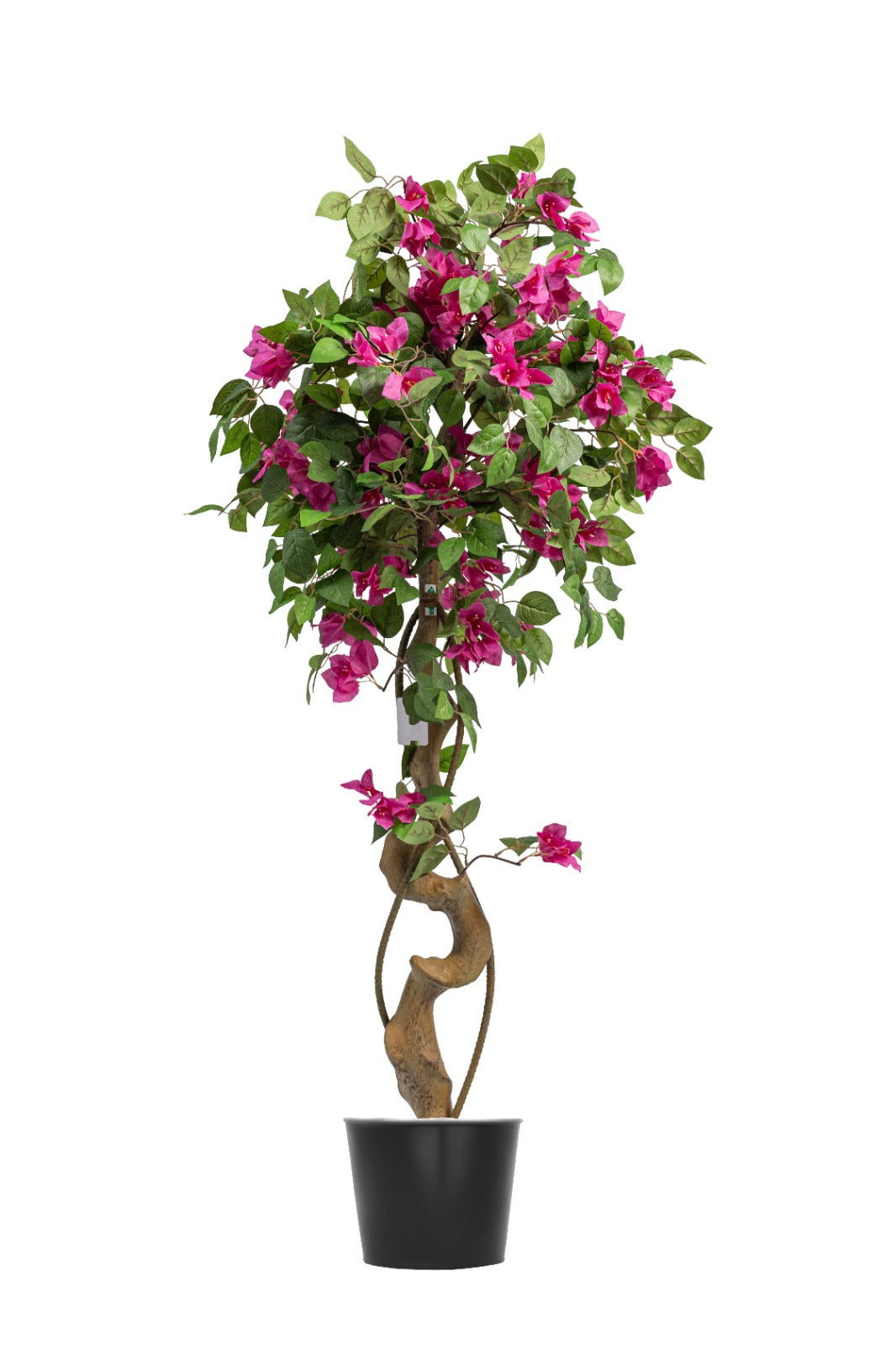 Artificial Plants