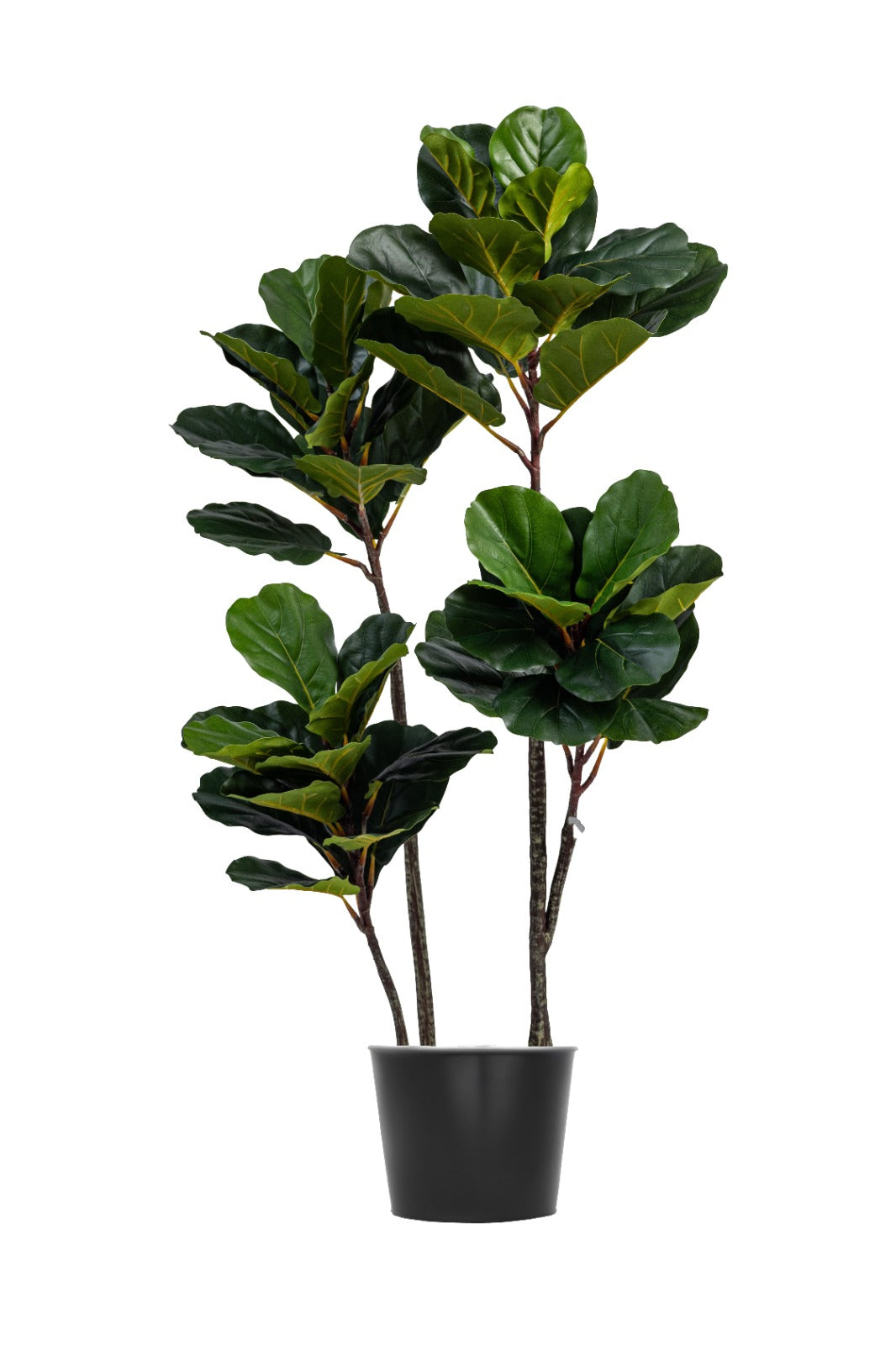 Artificial Plants