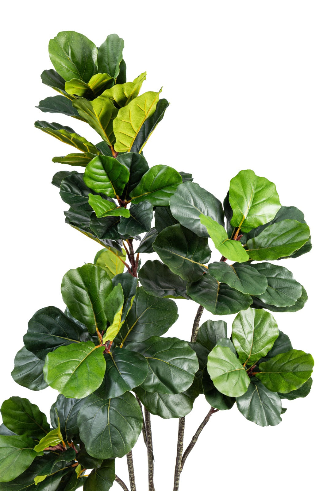 Artificial Plants