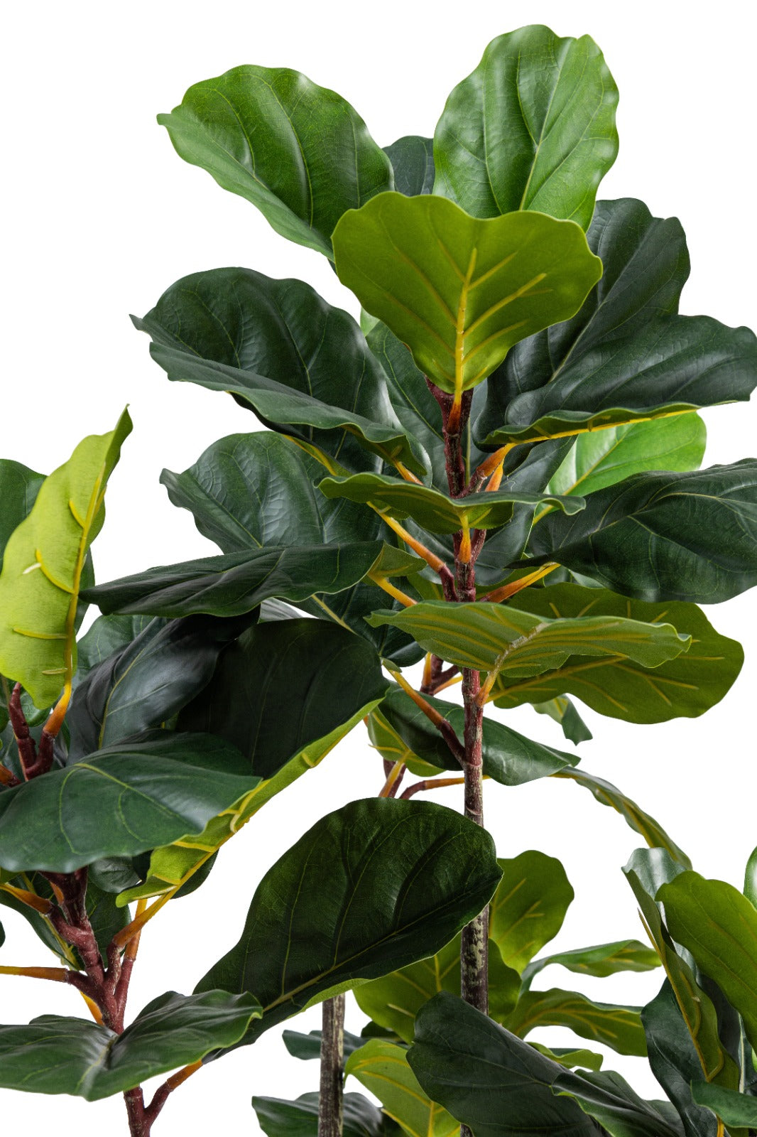 Artificial Plants