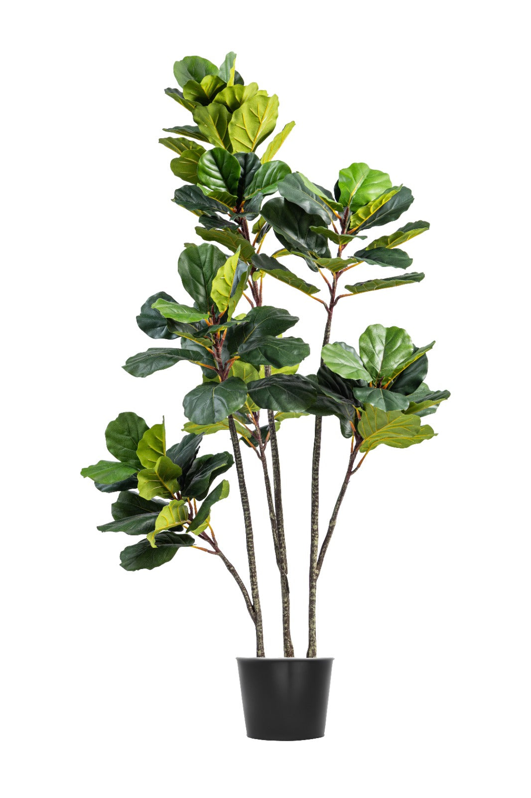 Artificial Plants