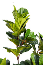 Artificial Plants