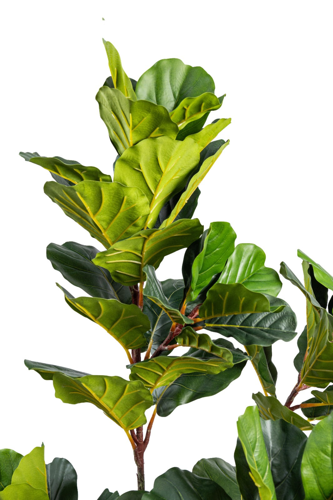 Artificial Plants