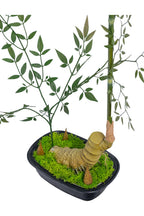 Artificial Plants