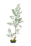 Artificial Plants