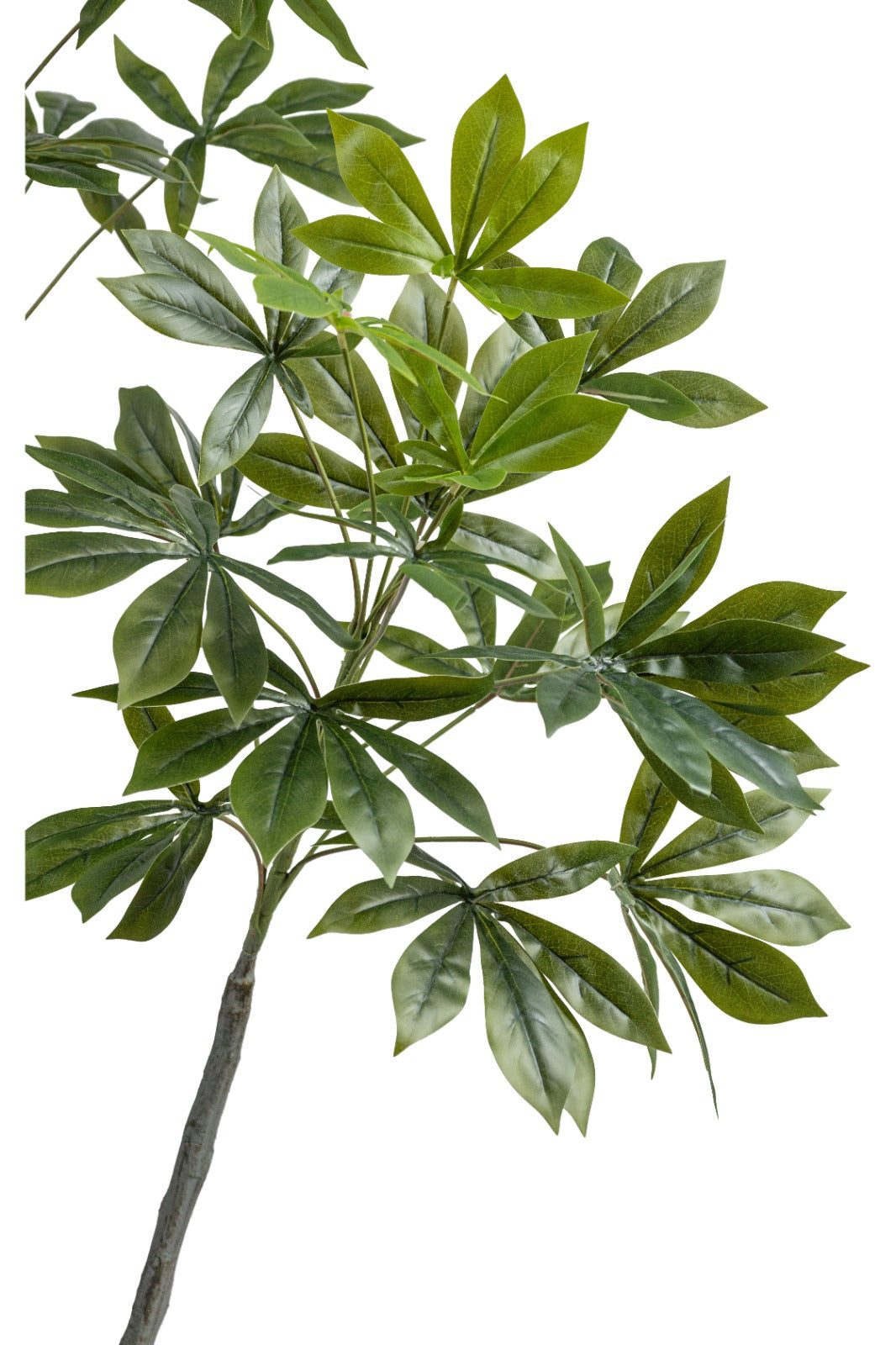 نباتات اصطناعية
