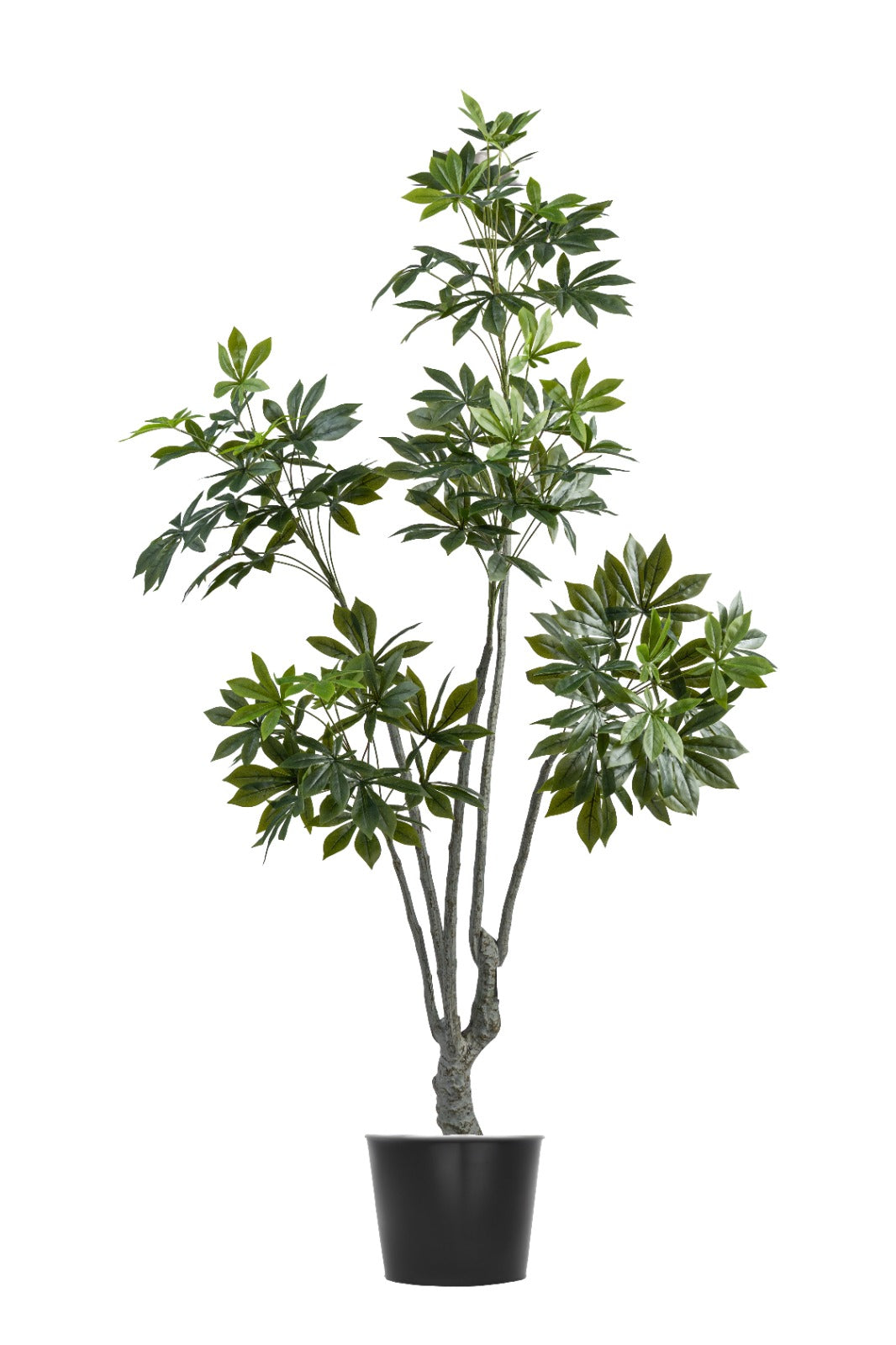 نباتات اصطناعية