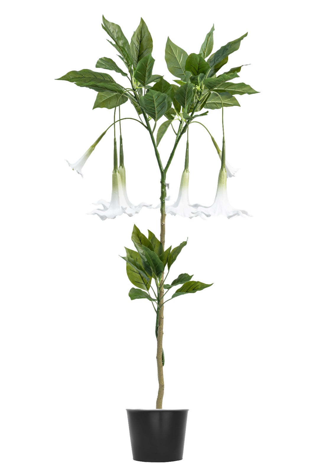 نباتات اصطناعية