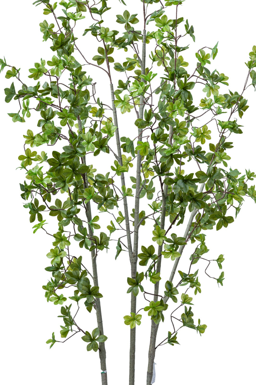 Artificial Plants