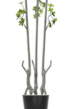 Artificial Plants