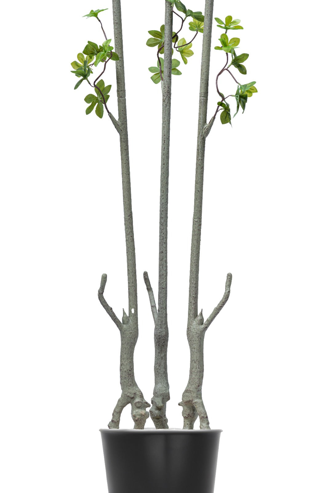 Artificial Plants