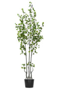 Artificial Plants