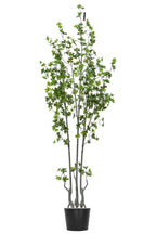 Artificial Plants