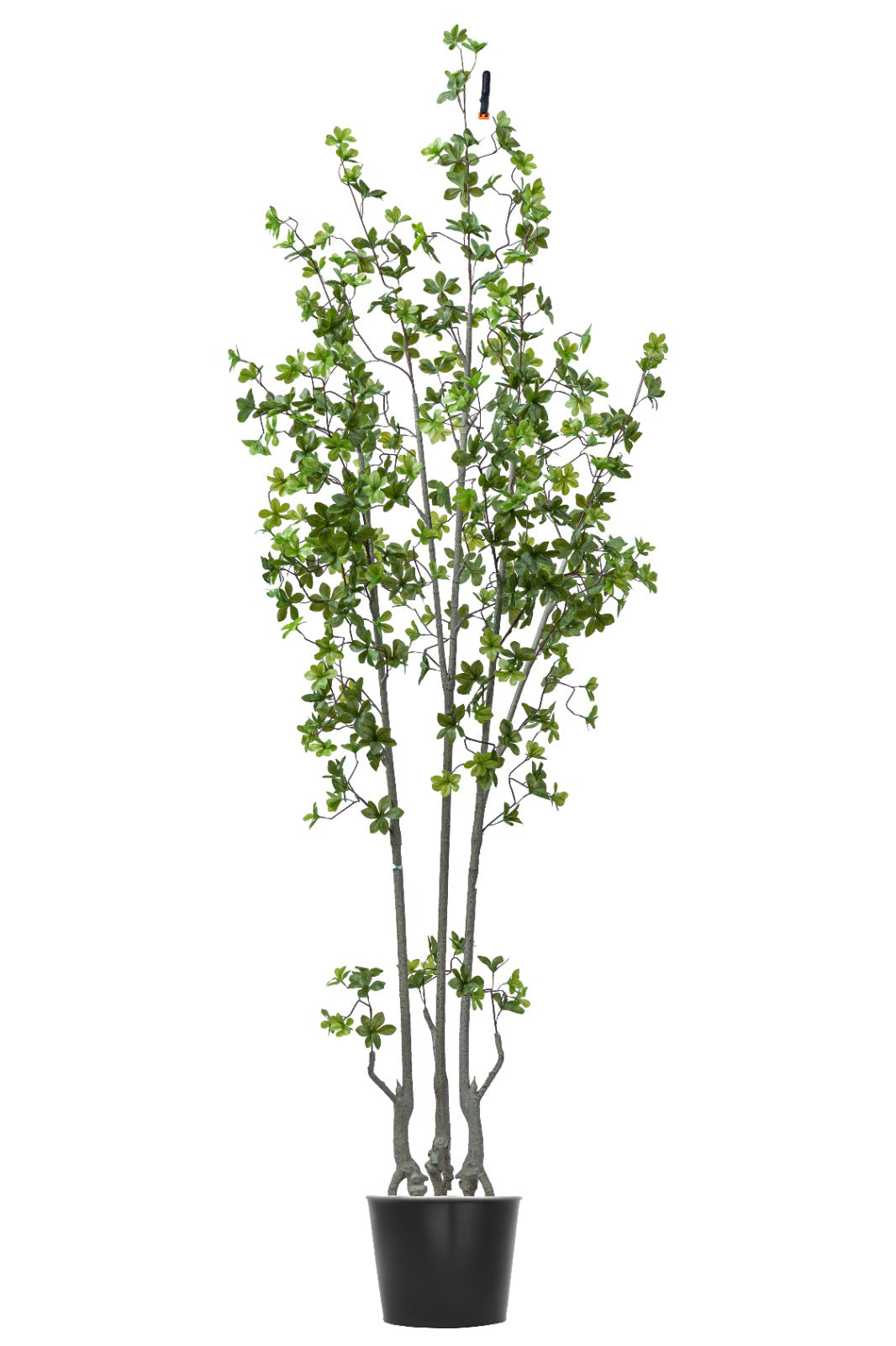 Artificial Plants