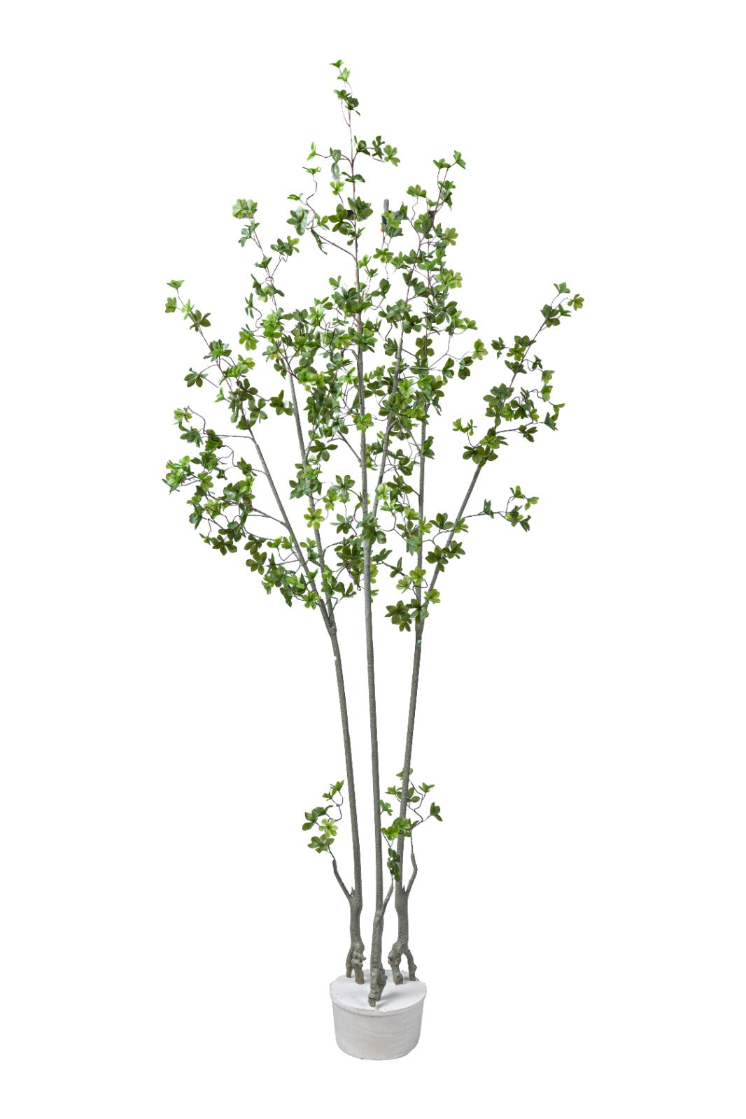 Artificial Plants