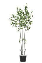 Artificial Plants