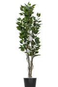 Artificial Plants