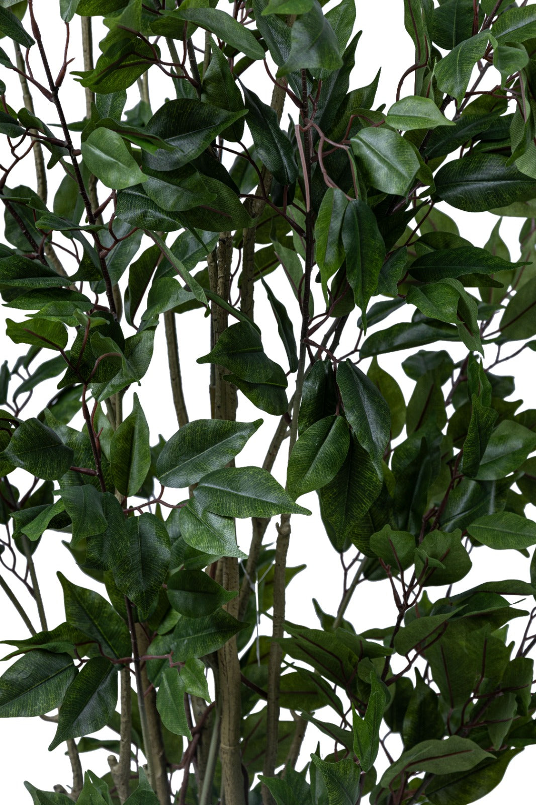 Artificial Plants