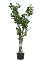 Artificial Plants