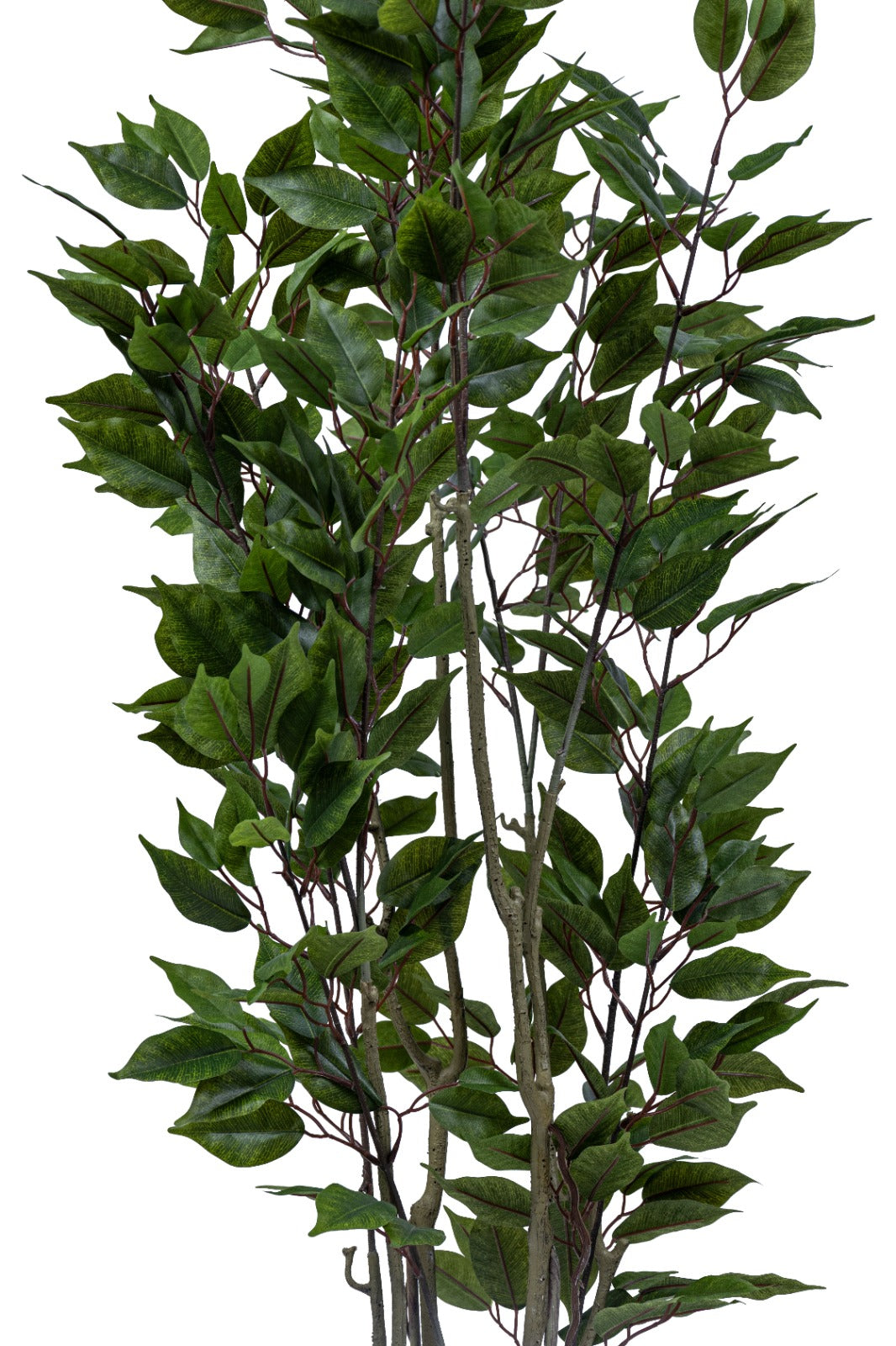 Artificial Plants