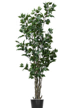Artificial Plants