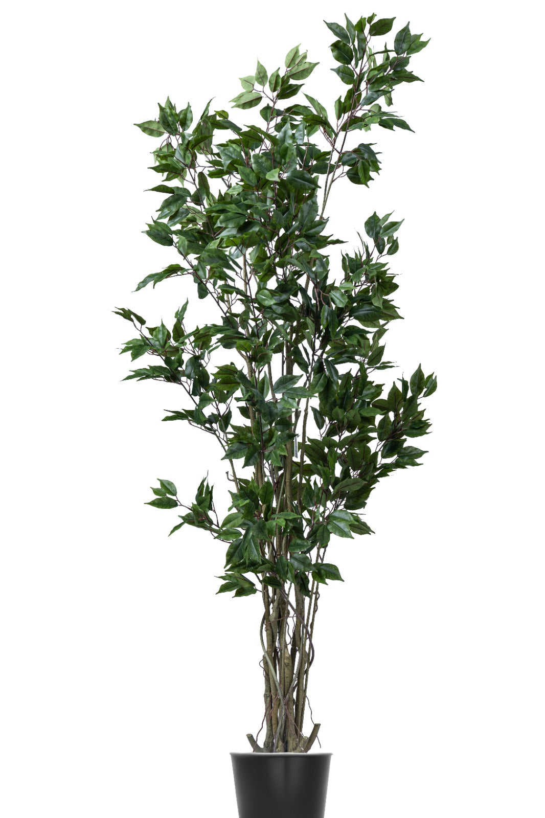 Artificial Plants
