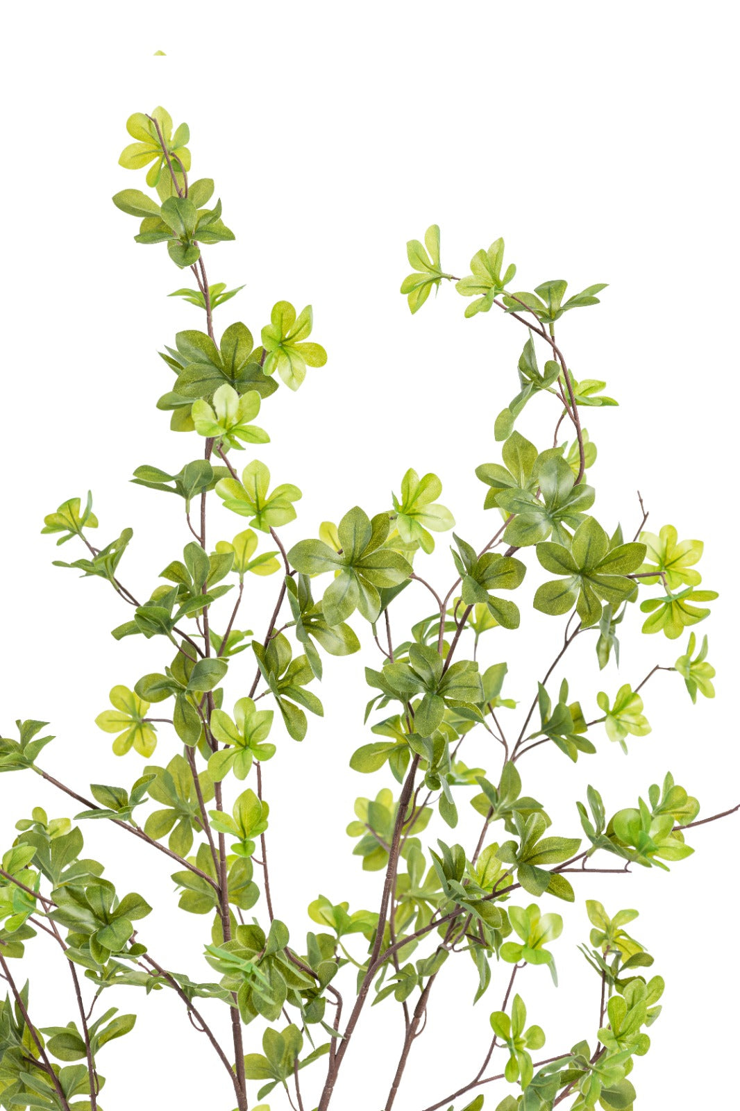 Artificial Plants