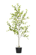 Artificial Plants