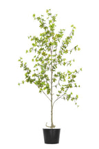 Artificial Plants