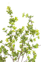 Artificial Plants