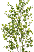 Artificial Plants