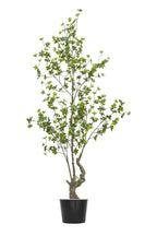Artificial Plants