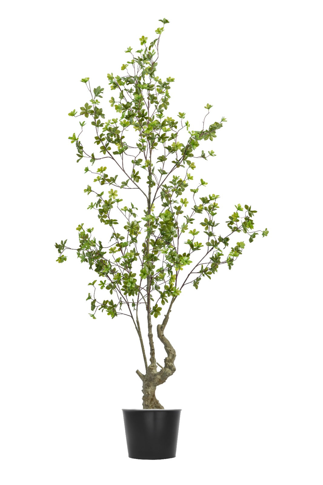 Artificial Plants