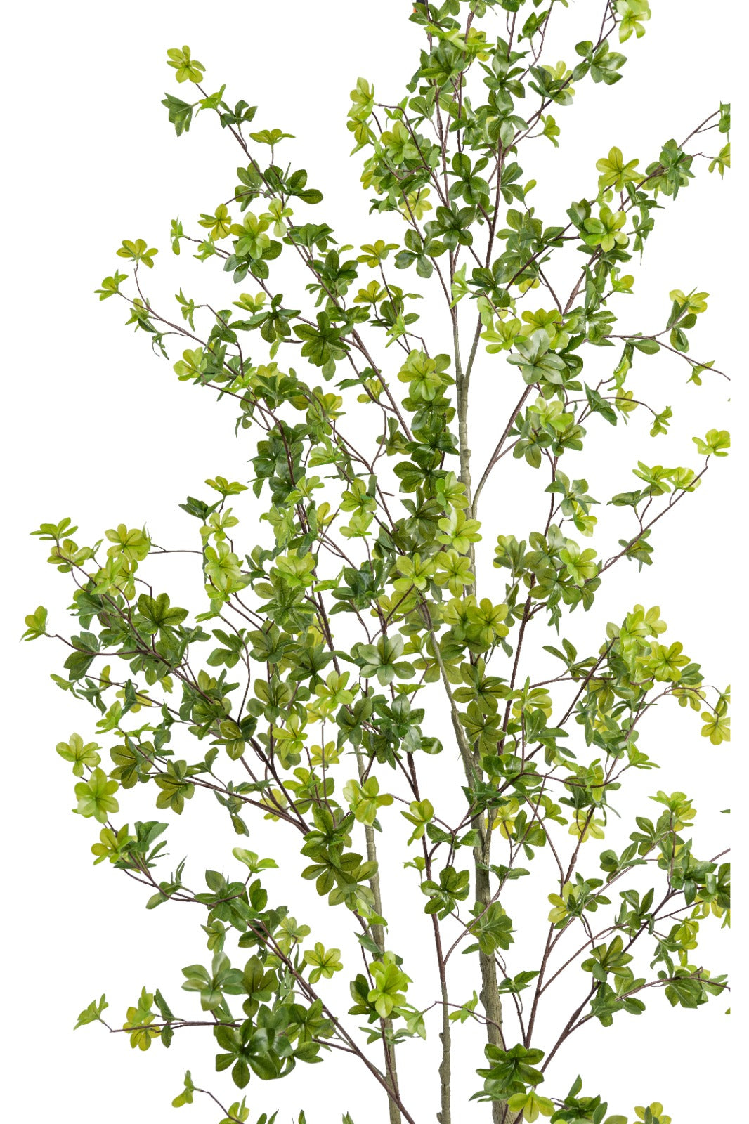 Artificial Plants
