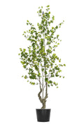 Artificial Plants