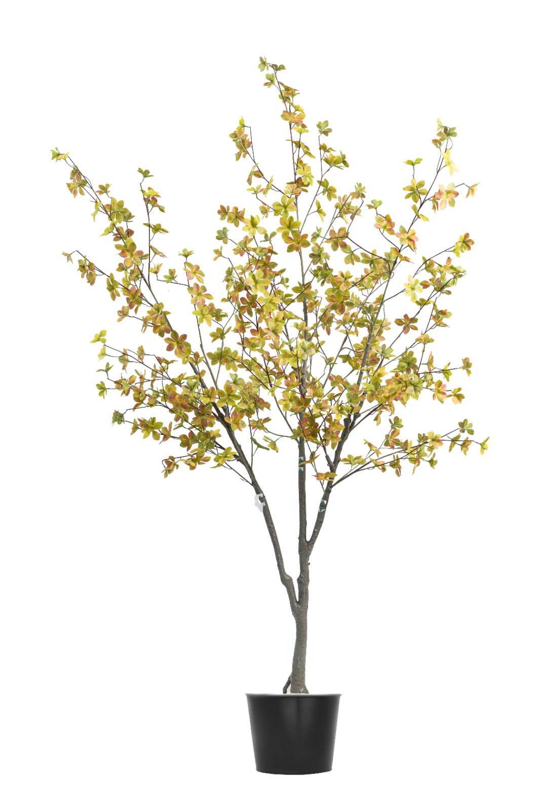 Artificial Plants