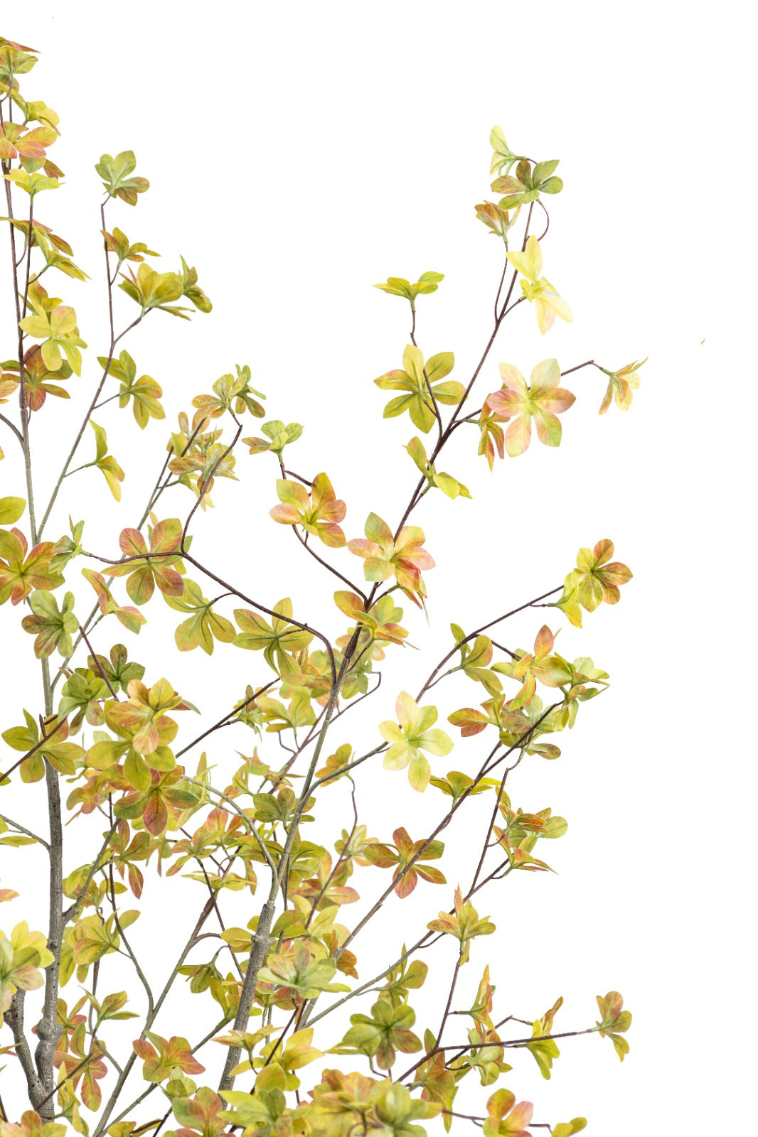 Artificial Plants