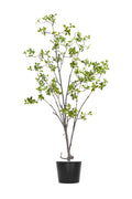 Artificial Plants