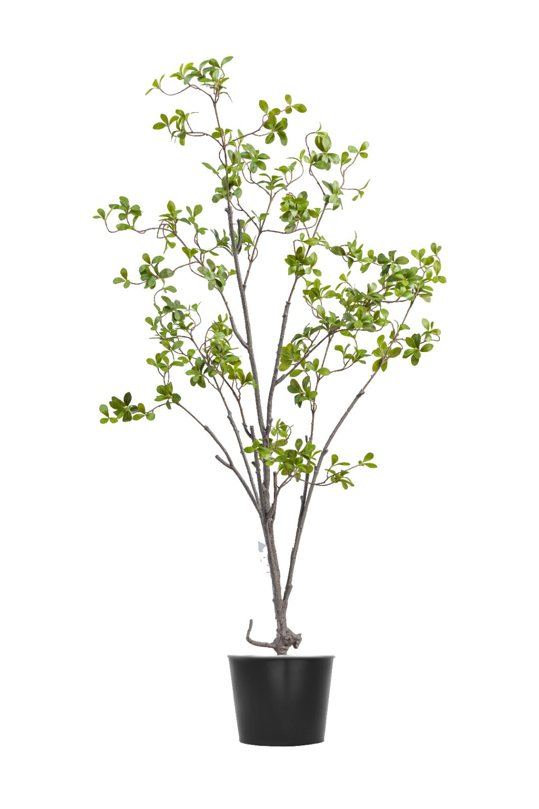Artificial Plants