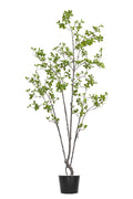 Artificial Plants