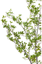 Artificial Plants