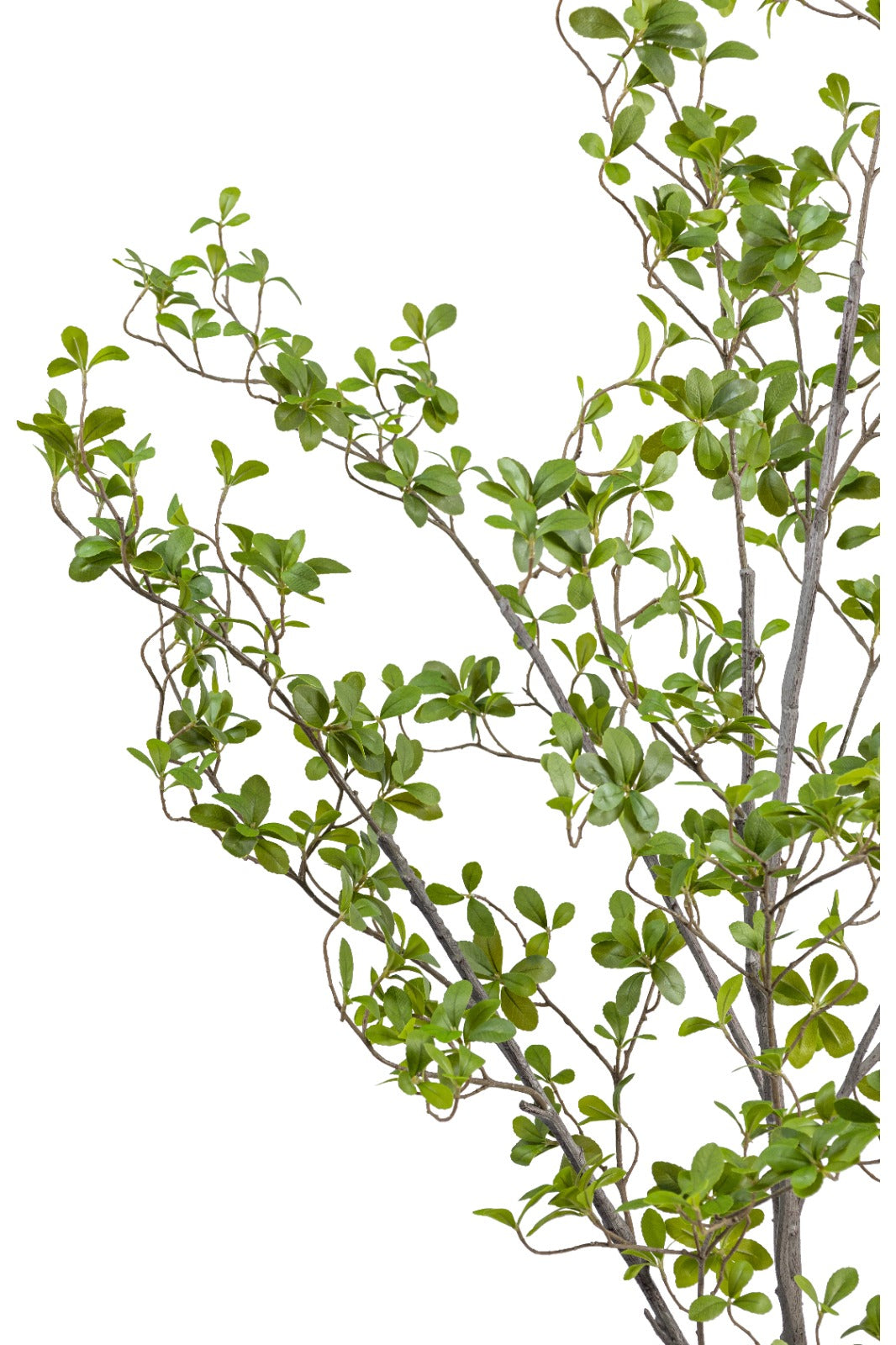 Artificial Plants